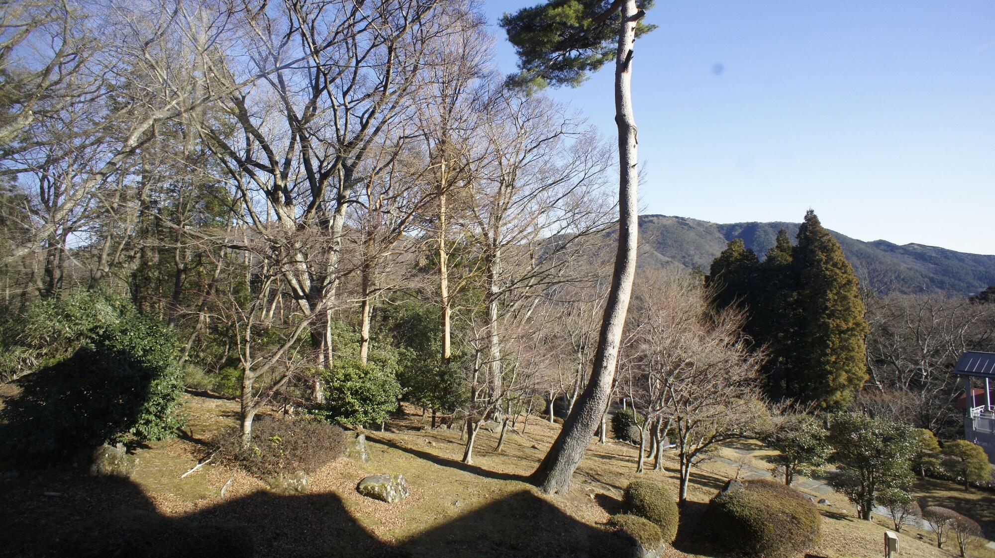 Hakone Forest Of Verde Exterior photo